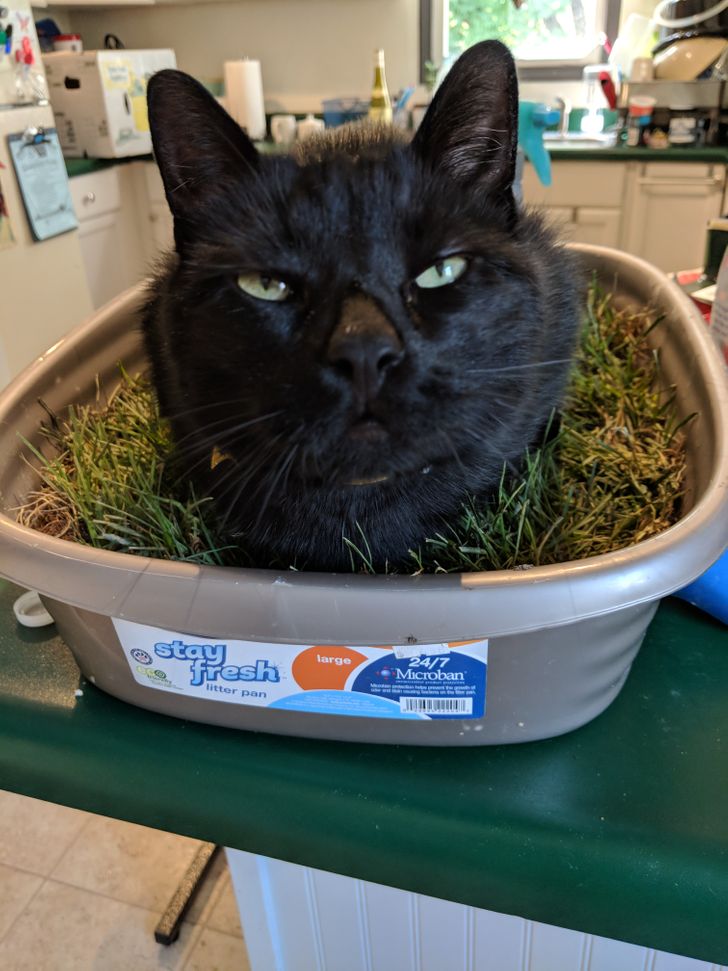 2b64225268b5492c598d635e5e