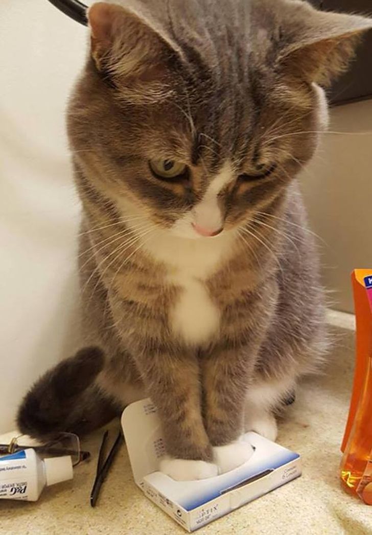 2b66eb52b6932d87a826270e2e