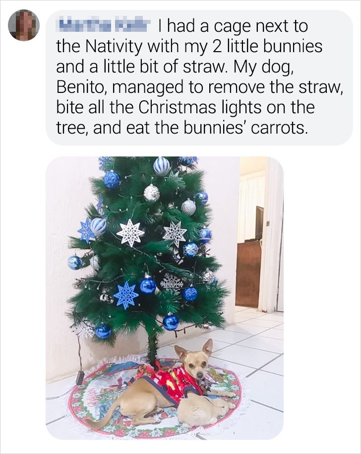 2b6b015ea08800a124ef5bf0d5