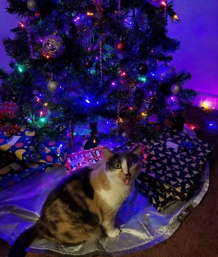 2b6f725b13b66bfbc7c2b0b9b3