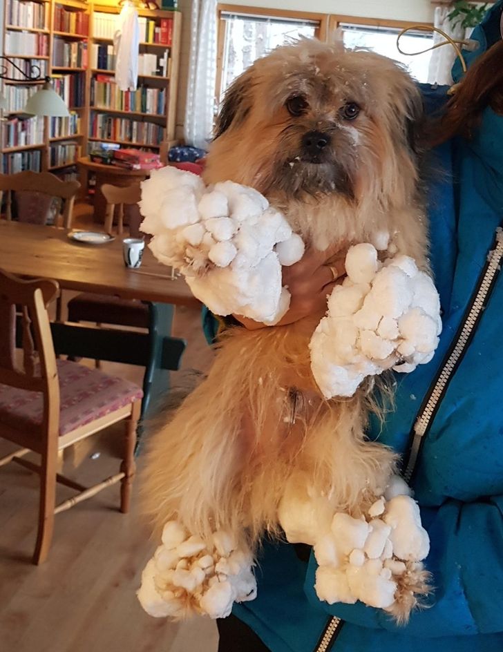 2b6fc05c27aa348e305235822d