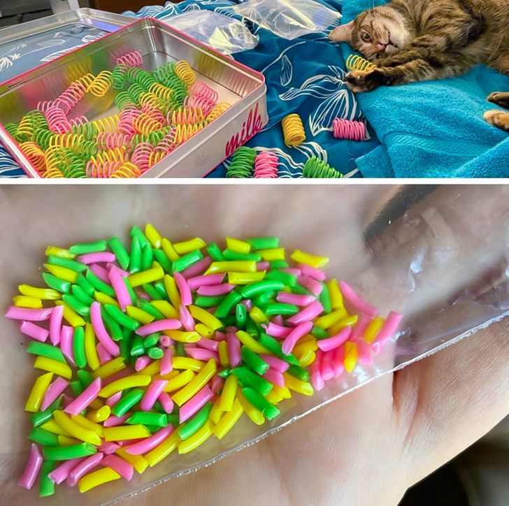 2b7e0d5c18bc1541c36f8c2876