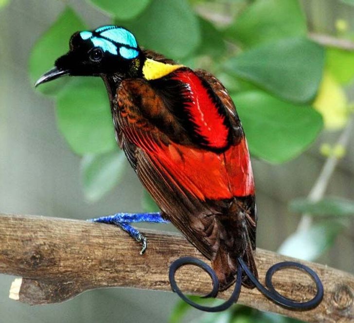 2b809e54d9825e8b028cd9b349