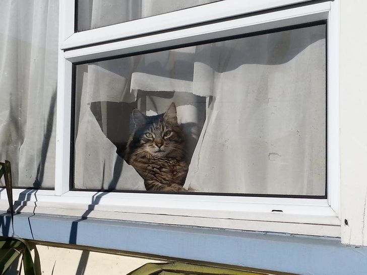 2b8176571592e78684e71f6d14