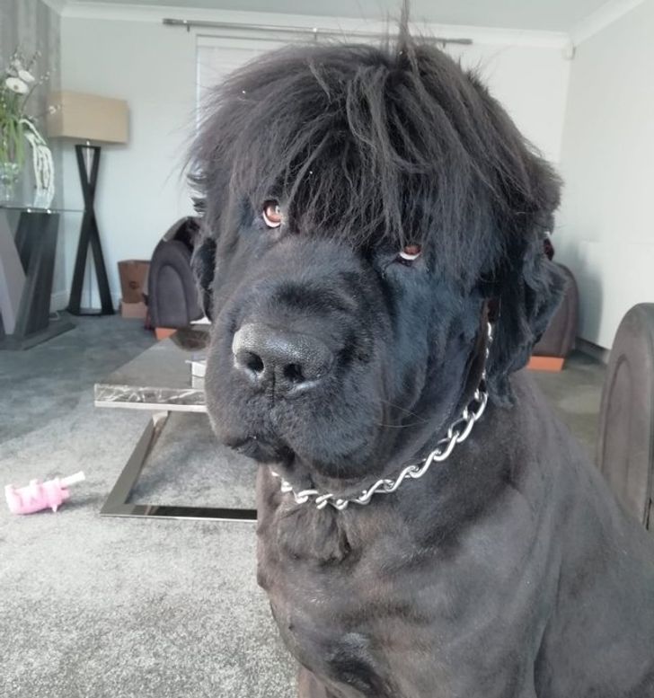 2b859959b1ae07667424ec15f7