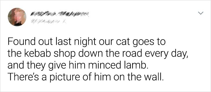 2b8b7650adbc360beca5b0d558