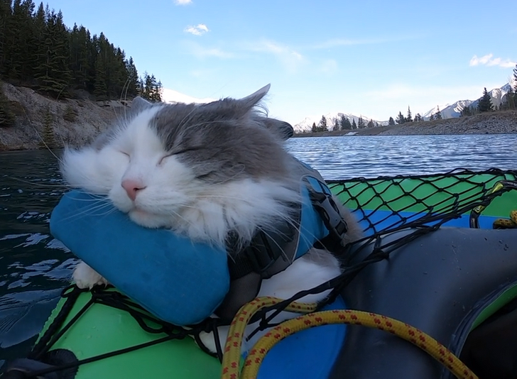 2b97c0579989d0f7121ceb2664