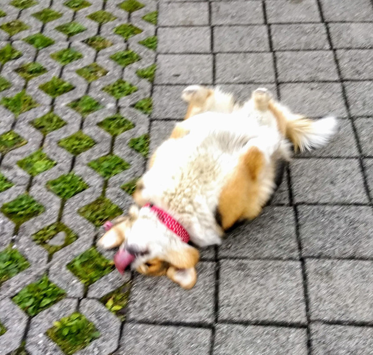 2b98195f9abb0ebc502a43343b 2b98195f9abb0ebc502a43343b