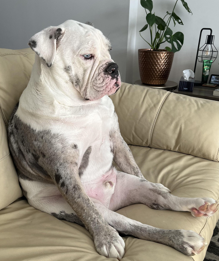 2ba8b759ba8beb75d2abe51fe0 2ba8b759ba8beb75d2abe51fe0