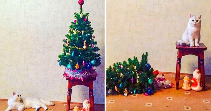 2bb0a7555ab2b7d0f25b2c42a0