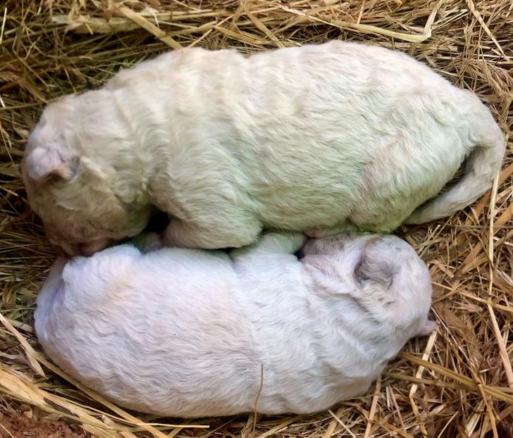 2bb6fb58ffa52c2e7e5aa17ea7