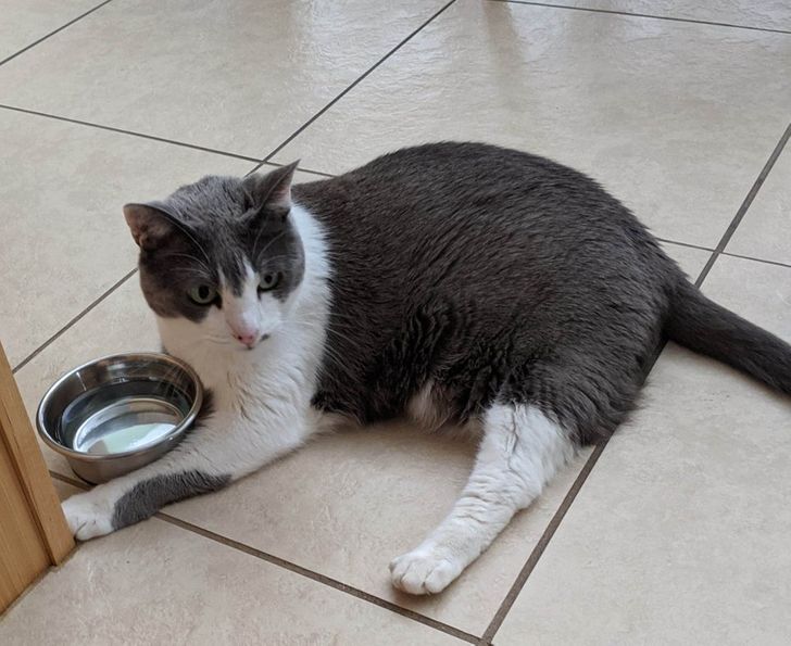 2bba175624b5ca5ca46f5f9630