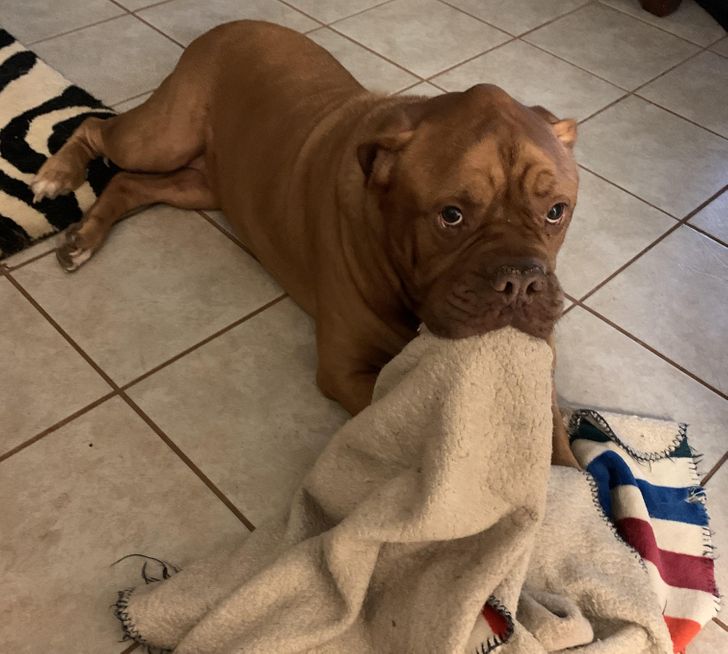 2bc7045d11a99ede6b8f6ce1c3