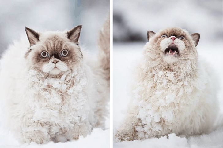 2bce405b1d93dd039d2467089d