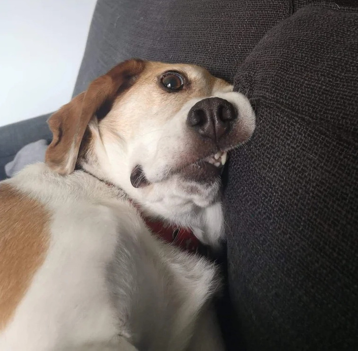 2bd16d5bc4a8ac935bf97609d7