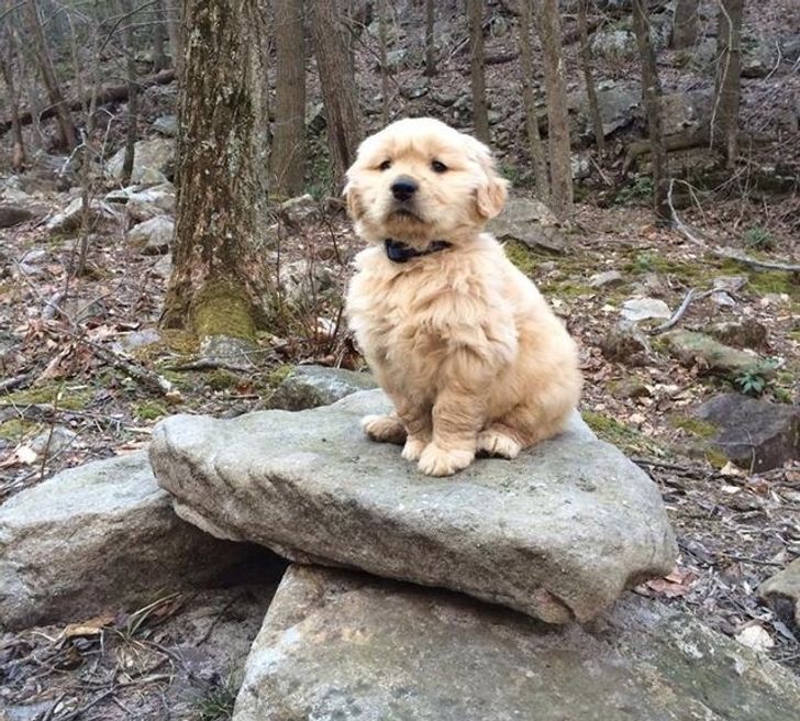 2bd4a8556ba5c60af68d83e7a9