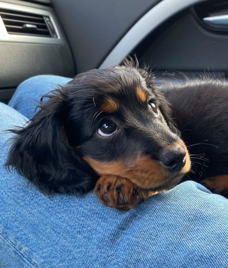 2bd66e5d5187dacc8d987a36de