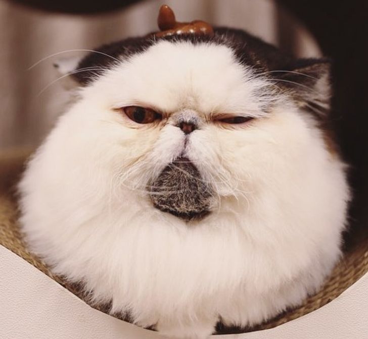 2bd829511d929e76f3edef1caa