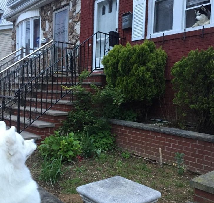 2bd9055d83a16db8b8dac46f61