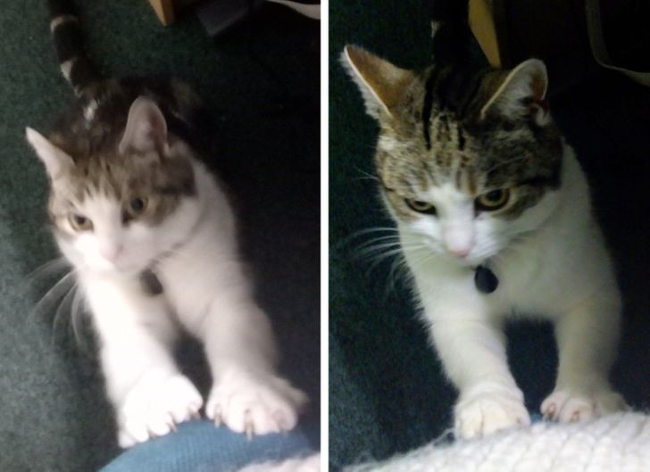 2bd92d5a90bcfb40398fa72215