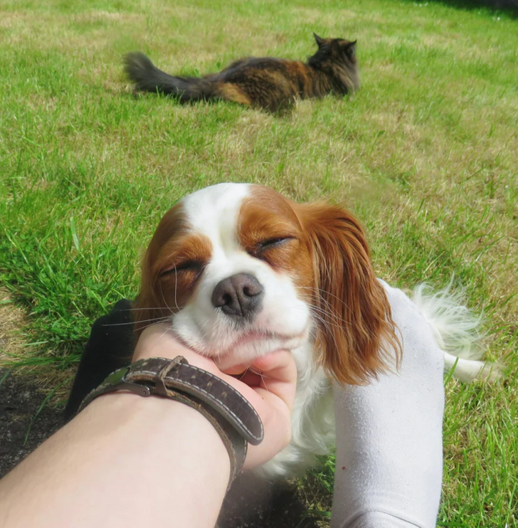 2be0de55cb847a0016e9014777 2be0de55cb847a0016e9014777