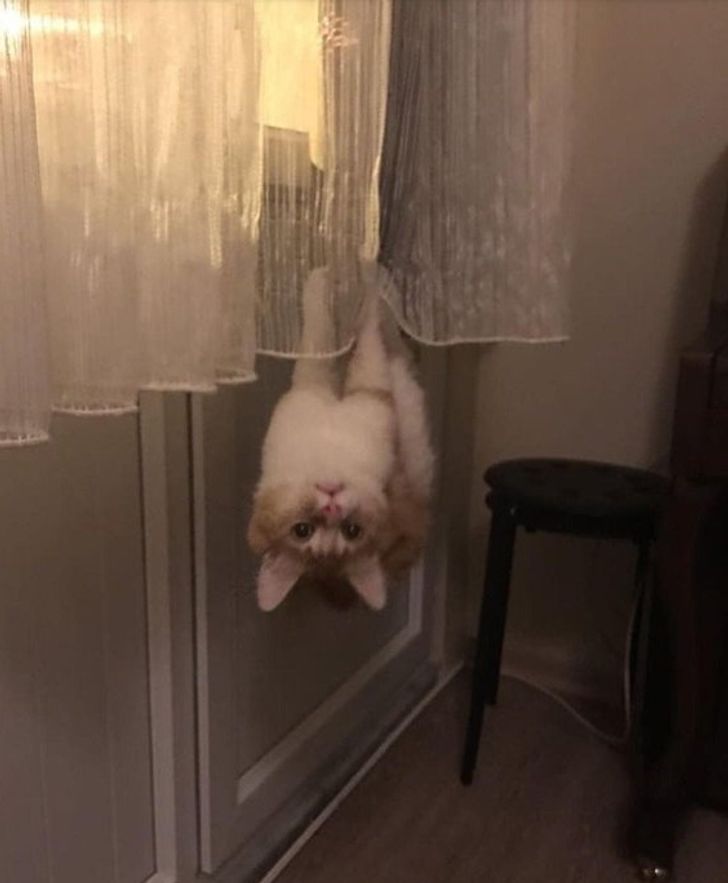 2bed4558c4b9e2c05ee5c87dc6