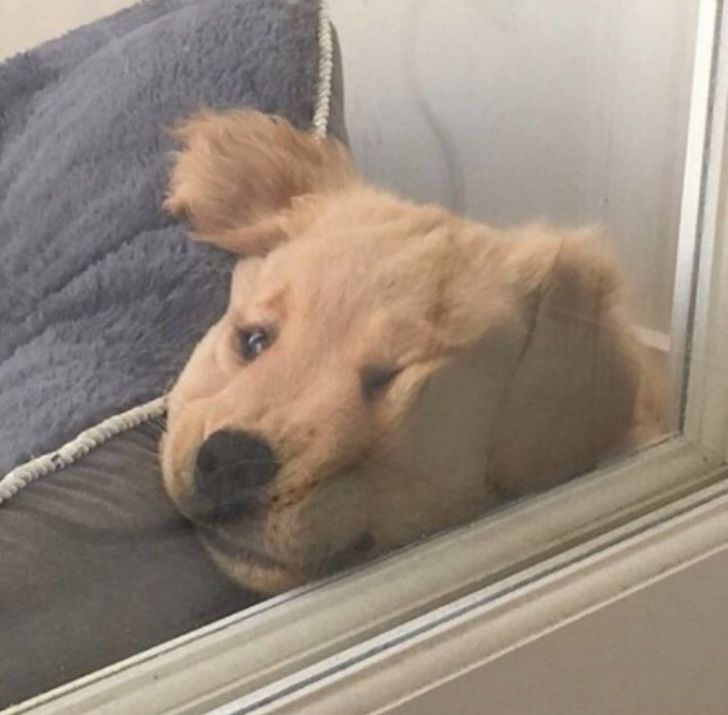 2bef0c59d68da16f58a53d26f6