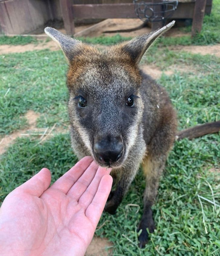 2bf8a95fa8ace6029cda0e43fc