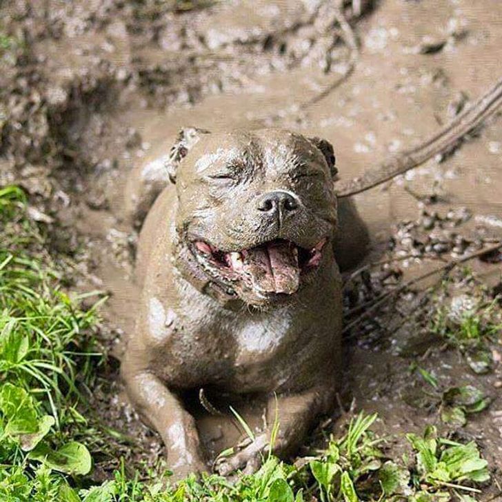 2bfe4a5fbc928c9e9aa165233d