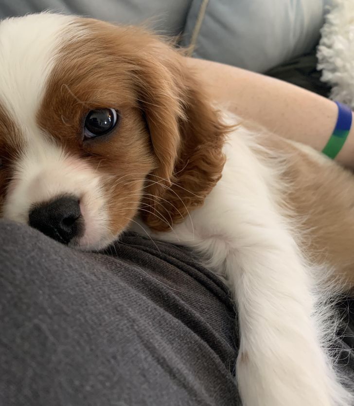 2c00185ad788275c89217be248