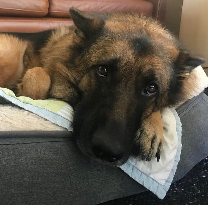 2c039b53ad8289e2fe11660af1