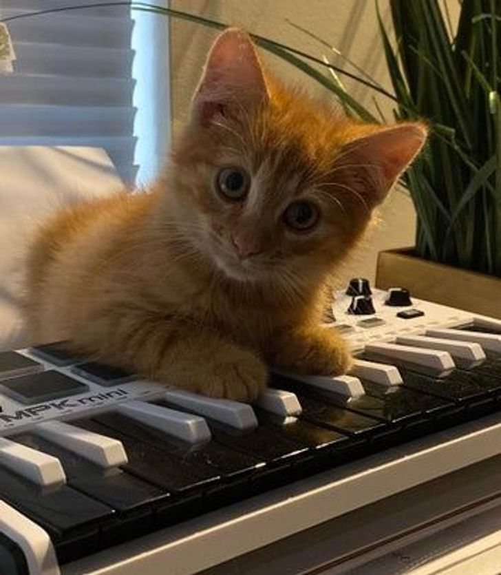 2c08fa5c49be84cafbfae4a10f