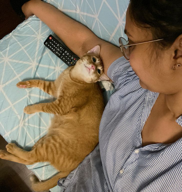 2c0bc5564192ec19d5729c406f