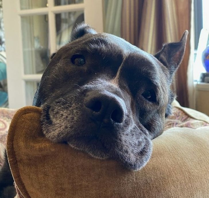 2c0f7c5c00baa78ea1e0e3f469