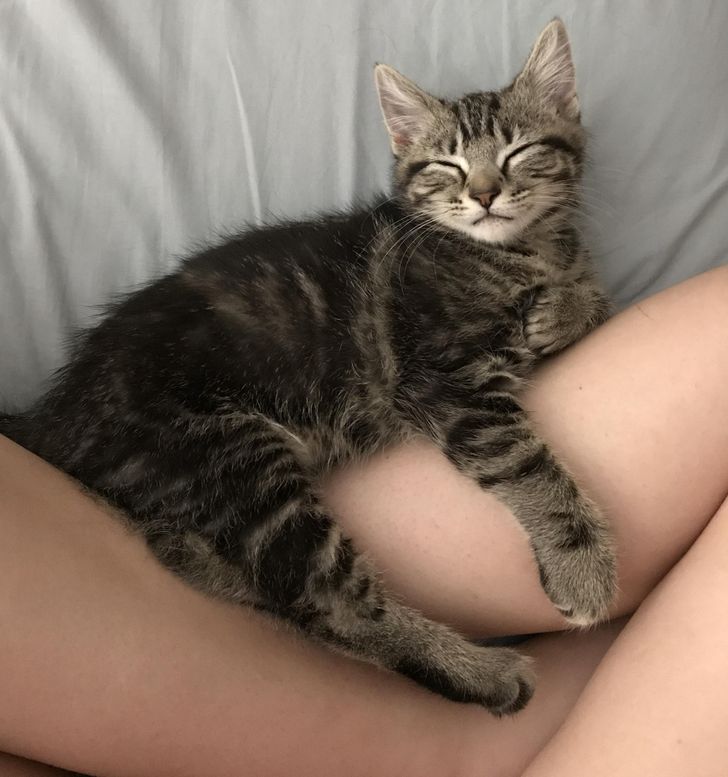 2c11c85cff9bc81976cf8704e4