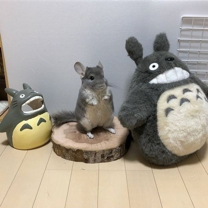 2c2a9253d299f24f8047d3a979