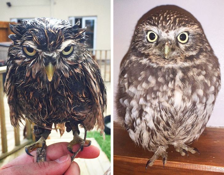 2c325a5edabc2cb0d6e95df3ab