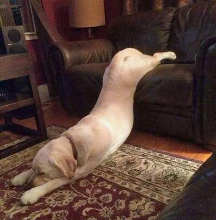 2c325b54b39162014d1909d733