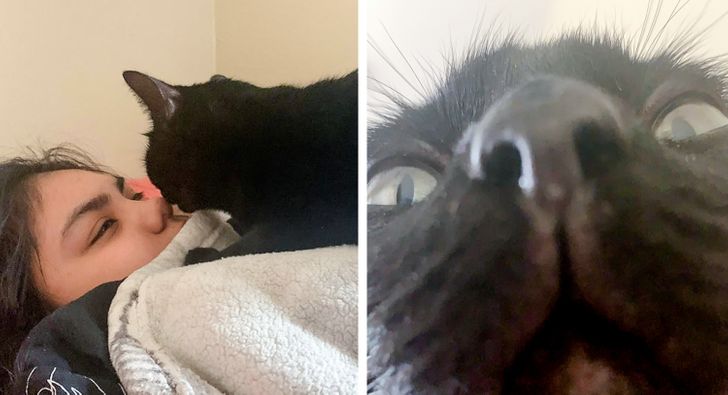 2c36335e80a174c4de998ae751