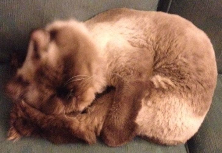 2c3693570b86b79e4fb0a6fd1d