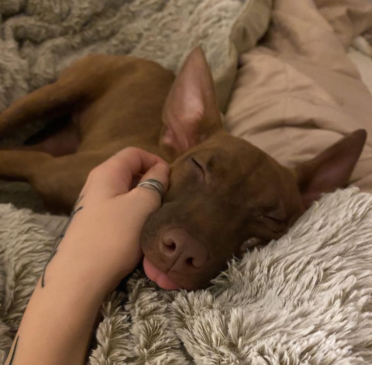 2c37745e32919d7bfb123872f9