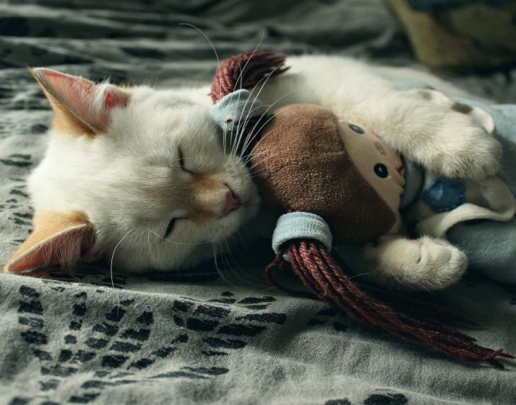 2c393158928177e31c78b01508