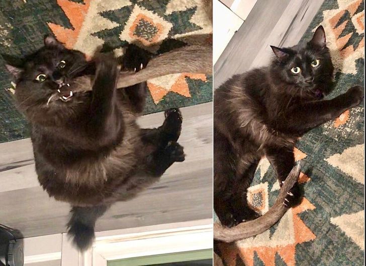 2c3d135f6d9c11f9691136d4f5 2c3d135f6d9c11f9691136d4f5