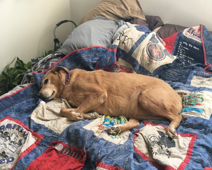 2c3d8c58a8b9a79dce5a263455