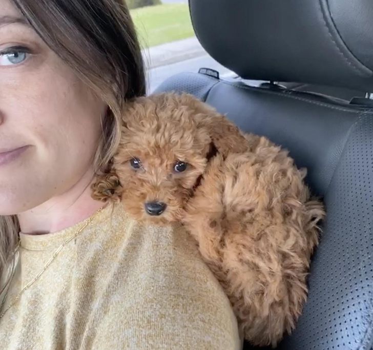 2c3e7854b1a885862ff5f61e5f