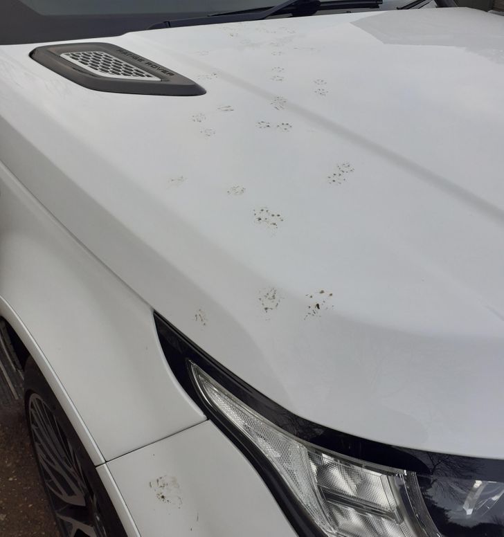 2c47015a25a2cbba51dfca2e3d