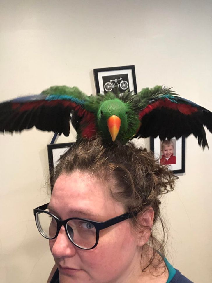 2c49e757509a6c74f7bd97e336