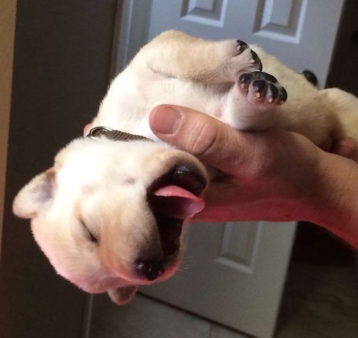 2c4daa577c85ef4c655c8d150c