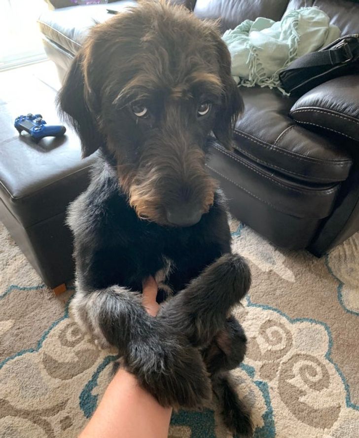 2c521955f2a967c1707e0da8e1