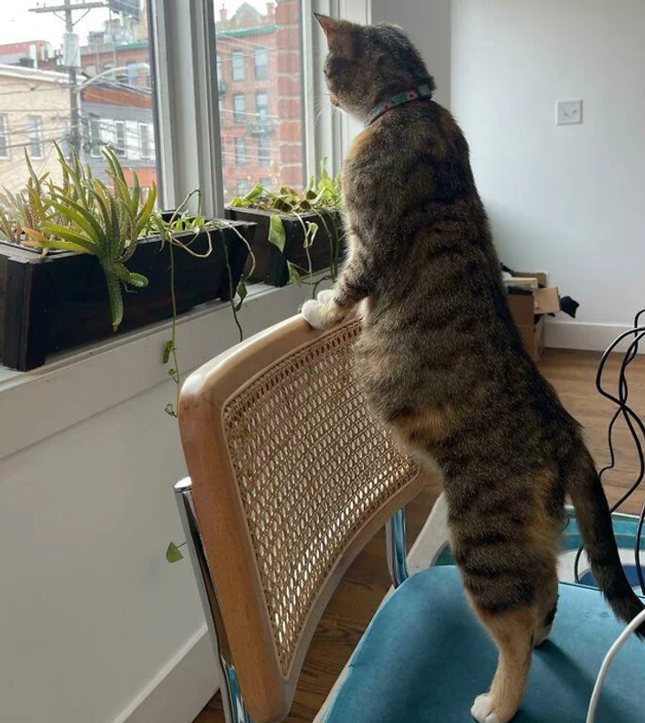 2c577d55d1b3ae4e8bef538947 2c577d55d1b3ae4e8bef538947